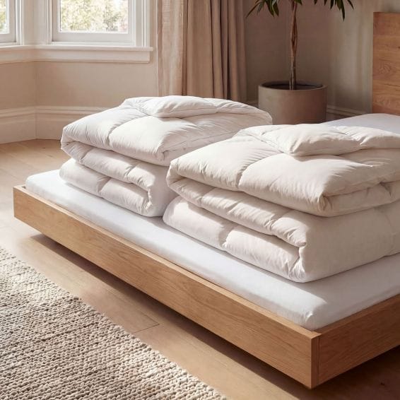 2 couettes tempérées enveloppe percale