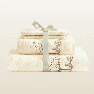 Nos packs à -50%